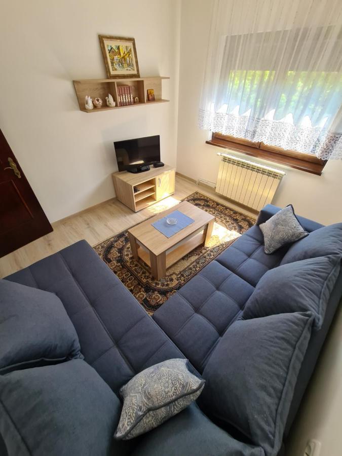 In Pavlovic Apartment Banja Koviljaca Exterior photo