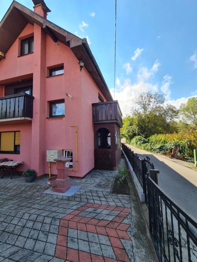 In Pavlovic Apartment Banja Koviljaca Exterior photo